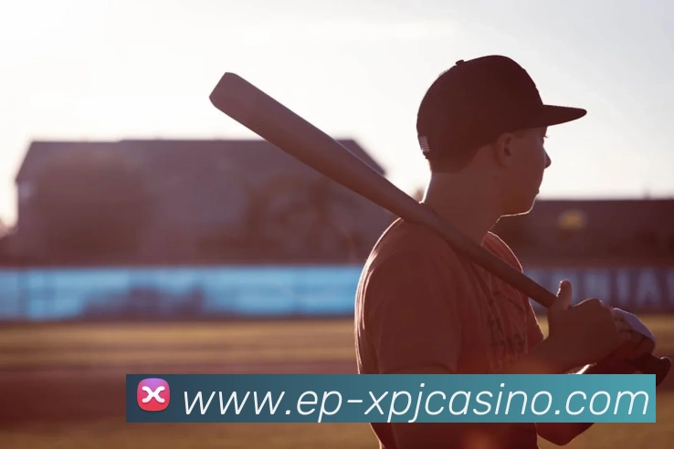 新葡京娱乐APP 封面图