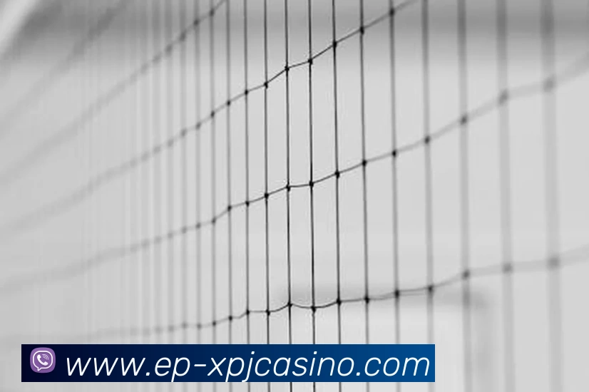 数据防护可视化